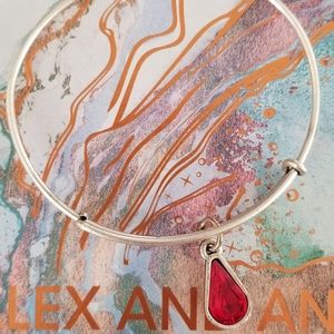 Alex and Ani Bracelet